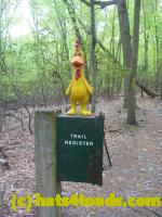 /home//u458753944/public_html/sourcegallery/////Chickens/Valley Forge/P1060799.JPG